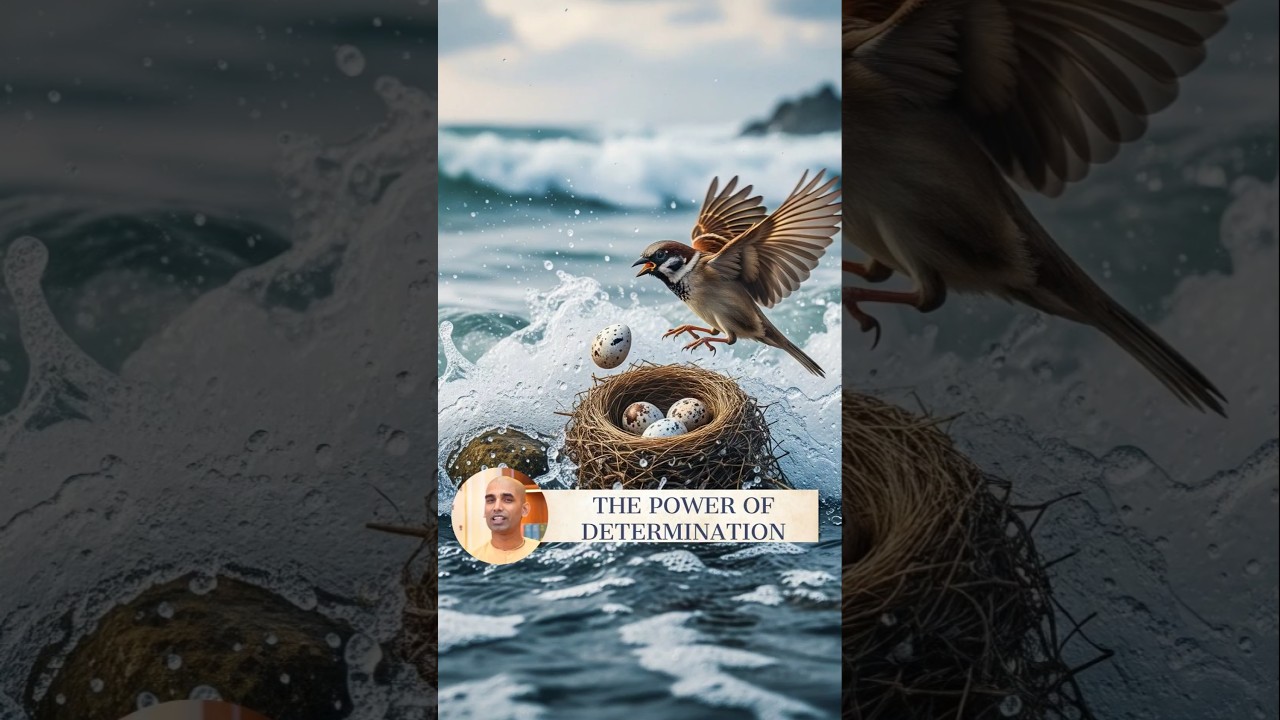 The Power of Determination | Gauranga Darshan Das