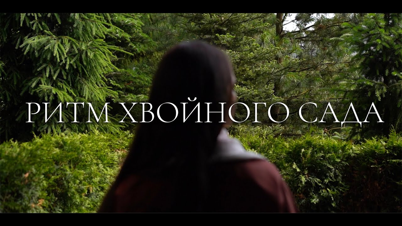 ХВОЙНЫЙ САД без смены красок : минимализм и тишина ландшафтного проекта🌲