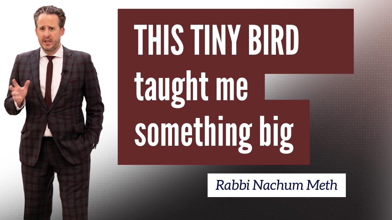 This Tiny Bird Taught Me Something Big