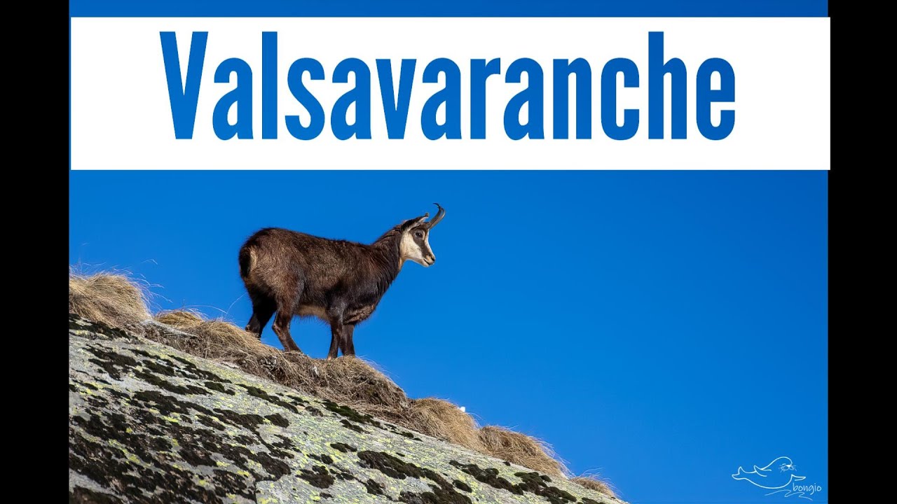 Valsavaranche - Parco Nazionale del Gran Paradiso