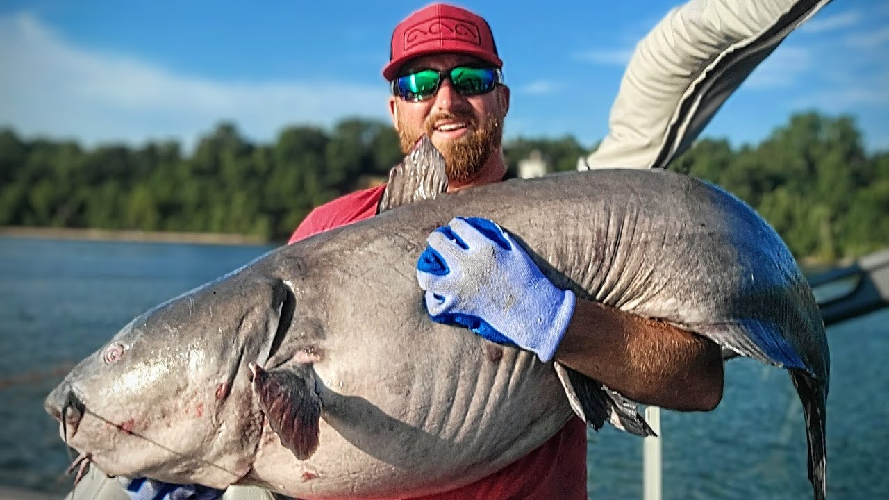 🚨MONSTER FISH🚨 new boat, new record! (intense battle)