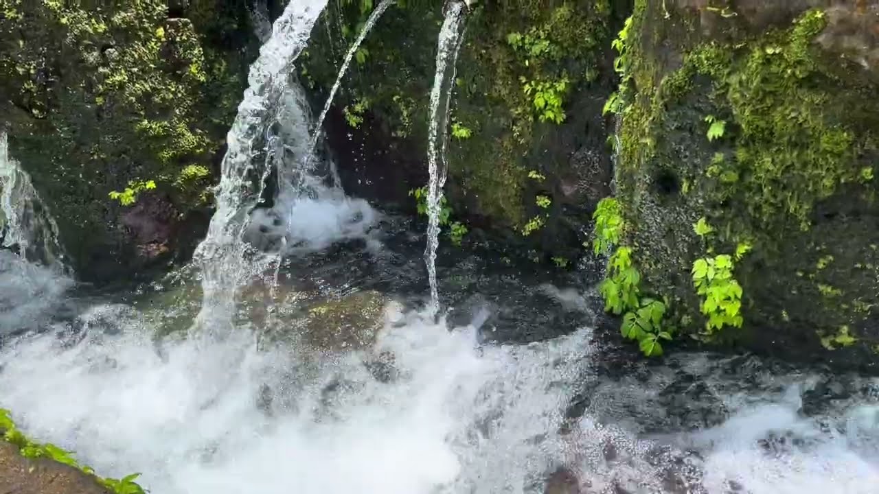 Melukat | Sacred Spring Water & Relaxing Nature Sounds