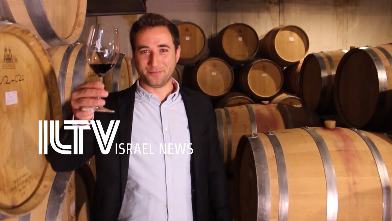 Top Israeli Wineries