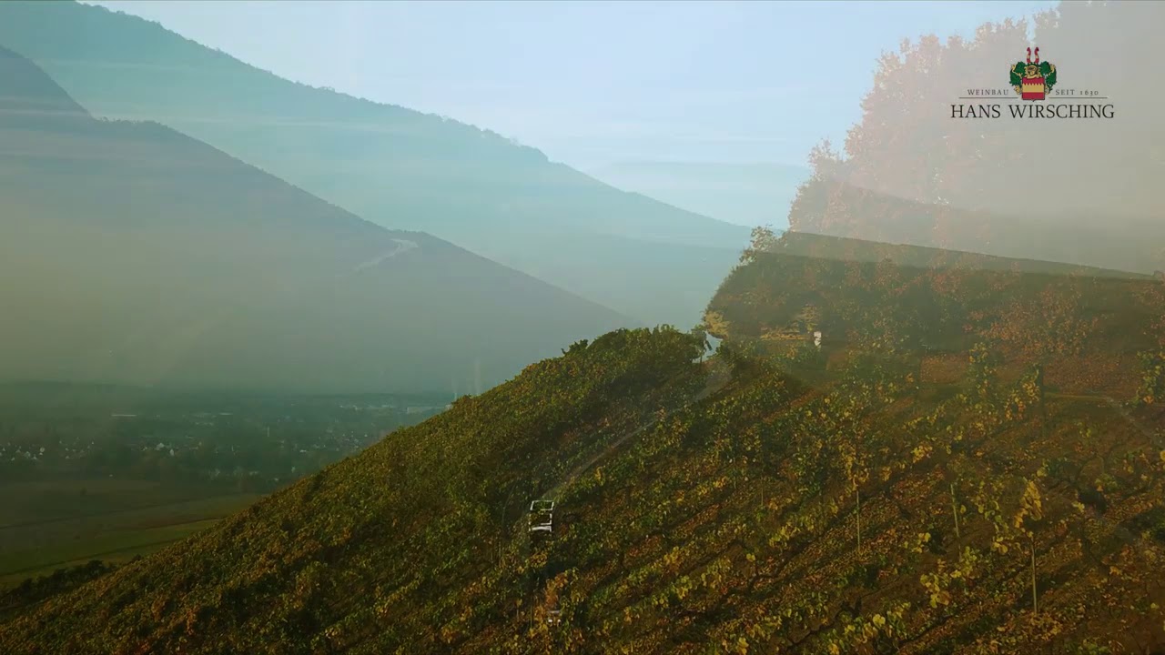 Weingut Hans Wirsching: Impressionen Teil 2