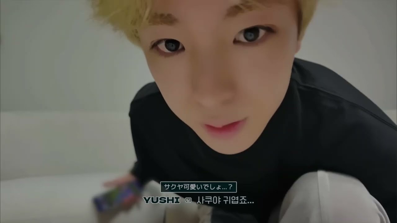 사쿠야 여러분 귀엽죠