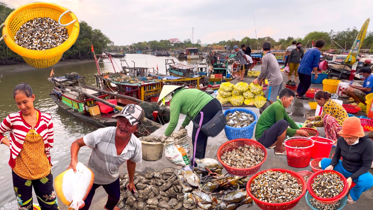 Nghề Cào Ốc Mỡ Cần Giờ Sài Gòn | Cầu Bình Khánh Thi Công Trở Lại