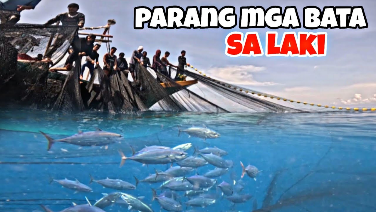 Ang lalaki ng isdang inaryahan parang mga batang sanggol @k-dovlog 