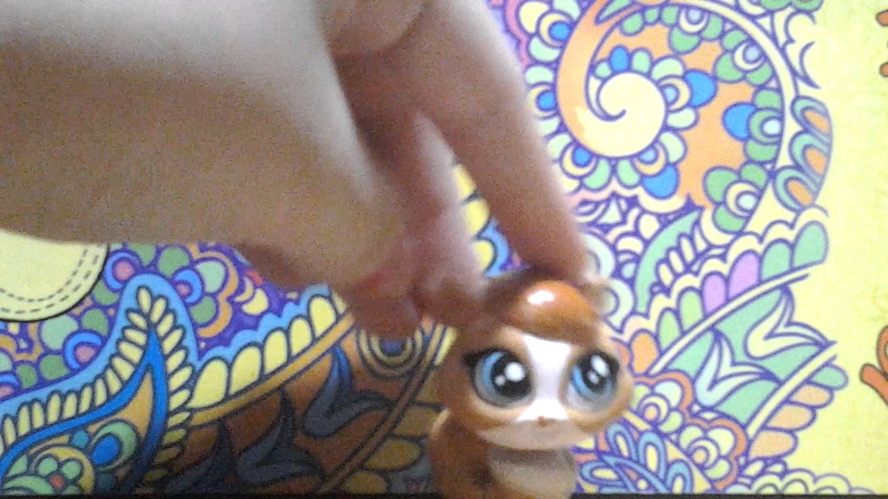{ Amalka LPS } Видео новость ♡♡♡