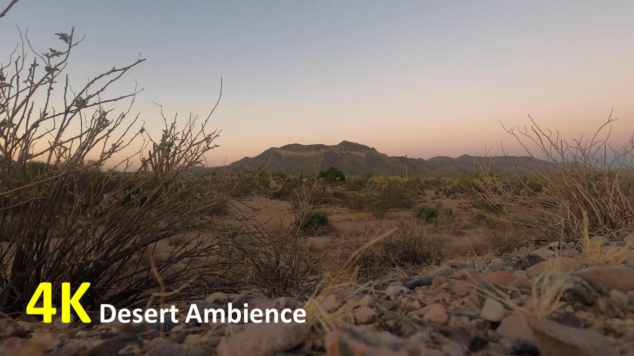 🏜 Serenity in the Southwest: 1 Hour Arizona Desert Ambience  #naturesounds