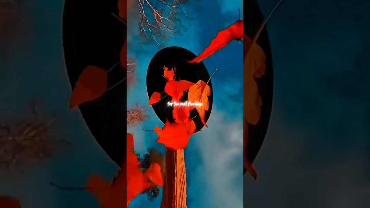 People - Libianca | lyrics | aesthetic | whatsapp Status | English songs | slowed | speed up 