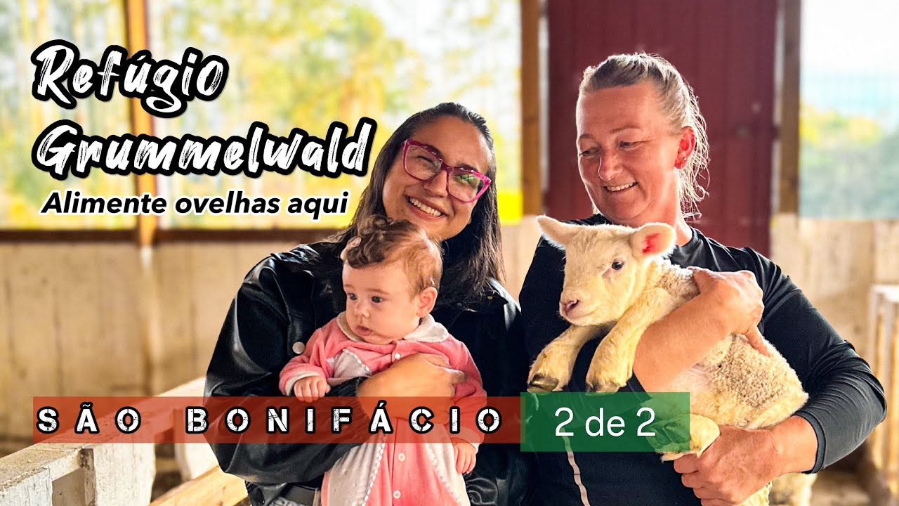 São Bonifácio-SC | Hospedagem Cabana Romântica para Casais | Alimentar Ovelhas