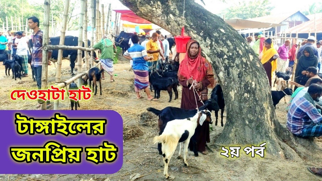 সবচেয়ে জনপ্রিয় হাট দেওহাটা হাট টাঙ্গাইল। দেখুন বিস্তারিত।