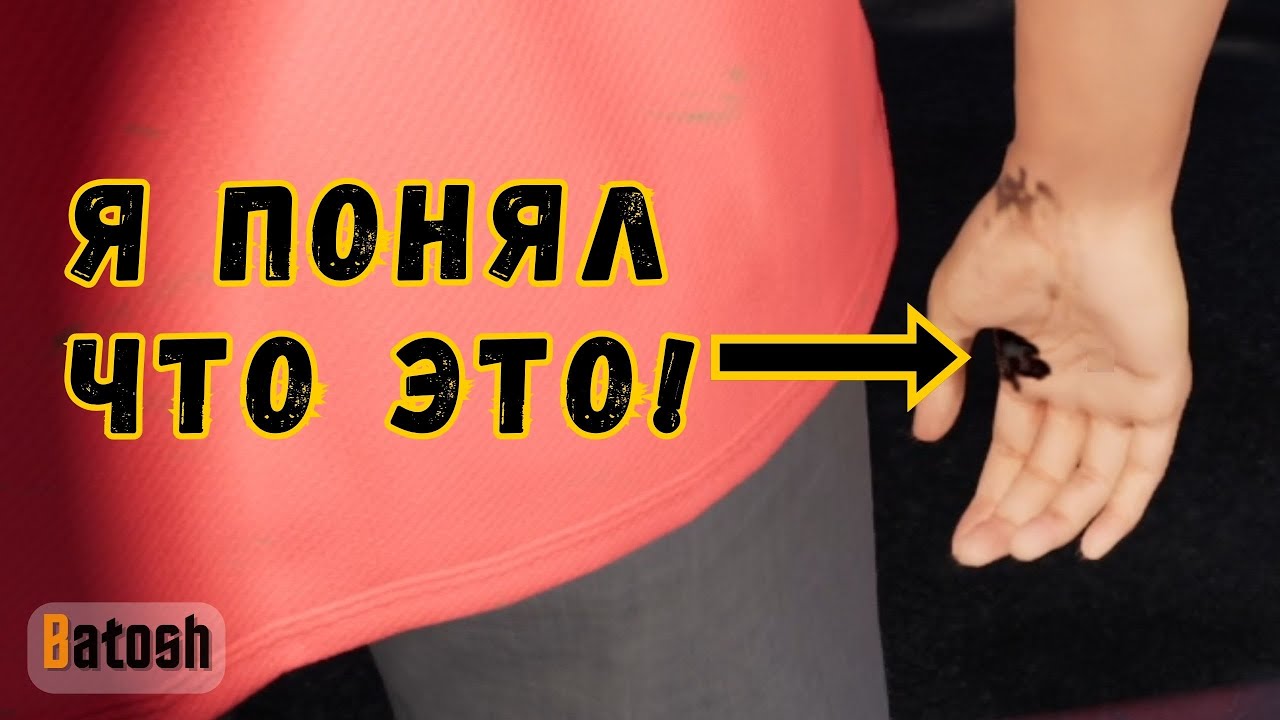 А ты знал?! (Quarantine Zone: The Last Check #9)