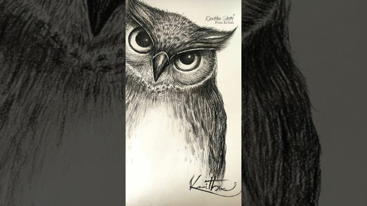 Charcoal Owl | Owl art  for beginners #drawing