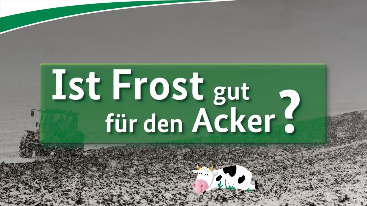 Ist Frost gut f&uuml;r den Acker?