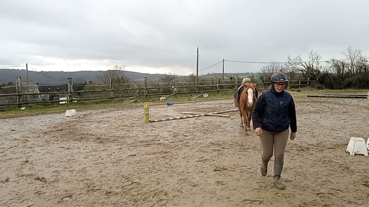Equifeel virtuel Caval Go 2026 montée 1 manche 2 éclair des Hogues et Karine Boscher 