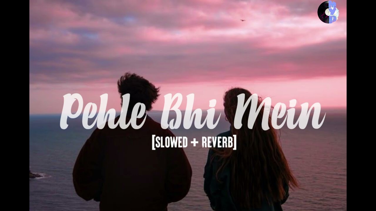 Pehle Bhi Mein - Lofi [Slowed + Reverb] ||Raj Shekar and Vishal Mishra||Animal||MYP Music||