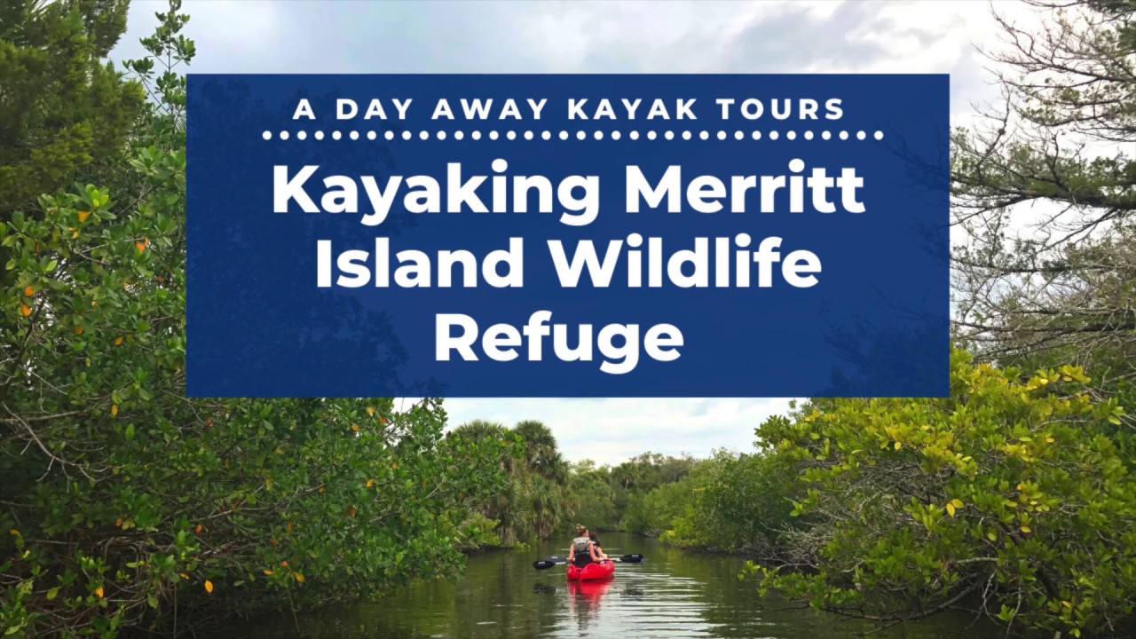 A Day Away Kayak Tour - Merritt Island National Wildlife Refuge - Florida Travel