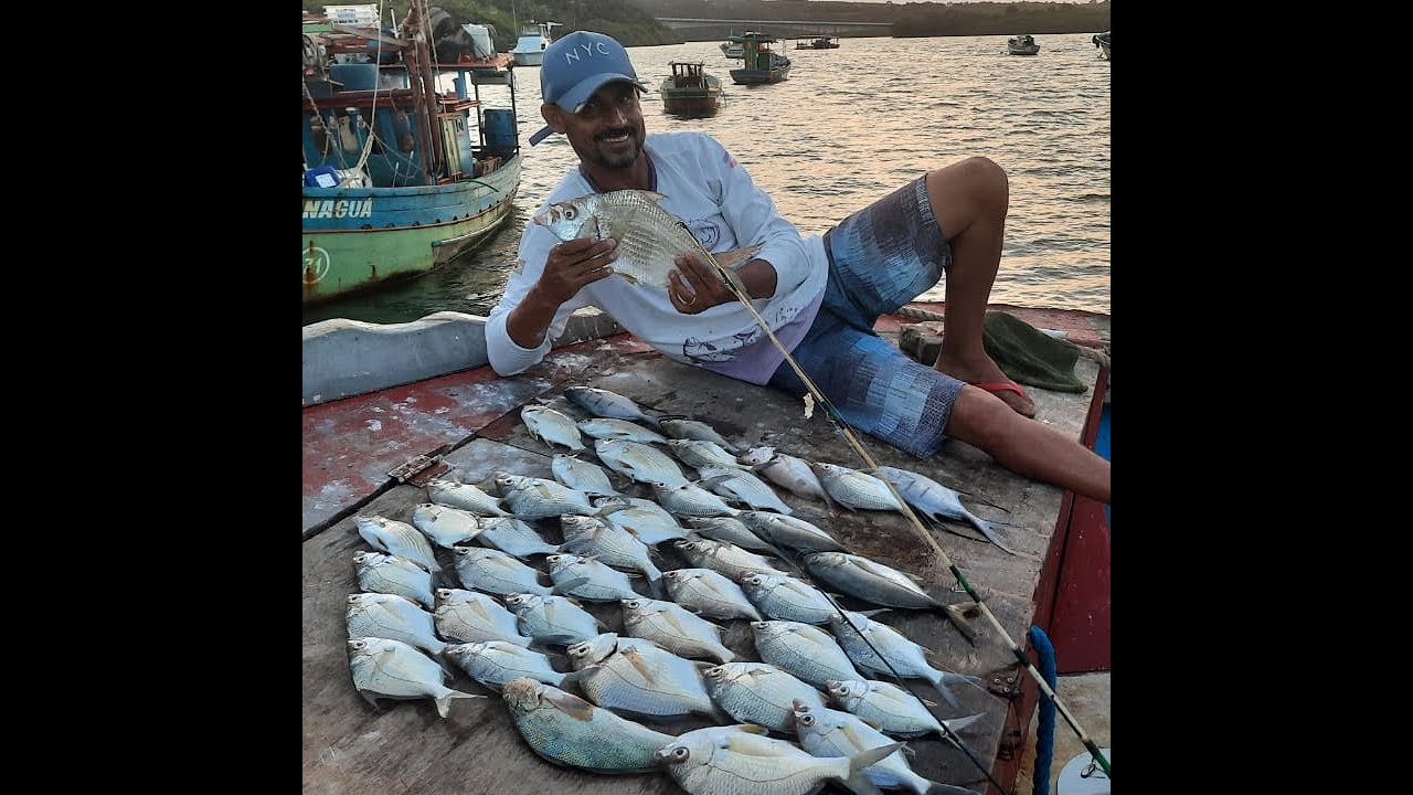 PESCA DE CARAPEBA DICAS INFAL&Iacute;VEIS ENTRE OS BACOS