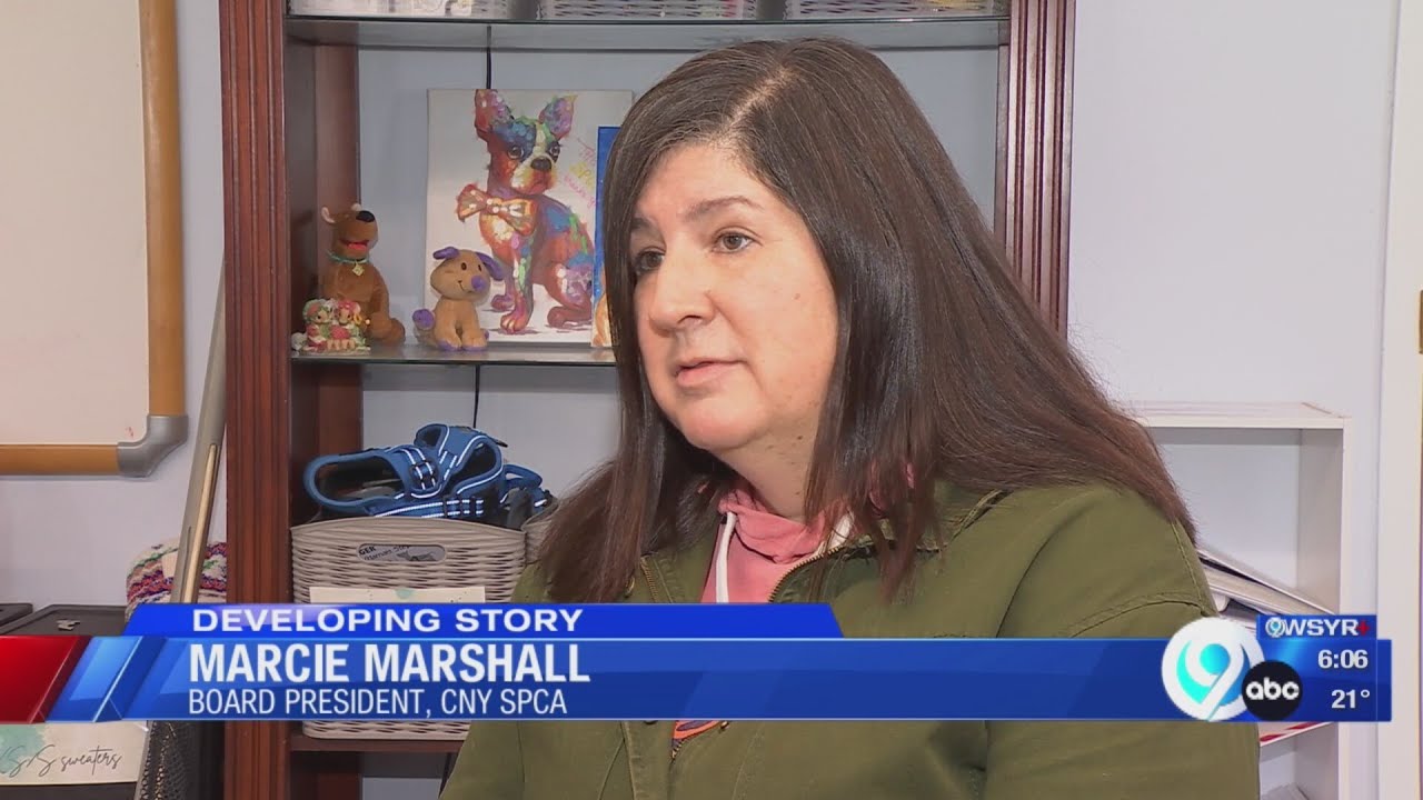 CNY animal shelter announces fresh slate of board members after former leadership stepped down
