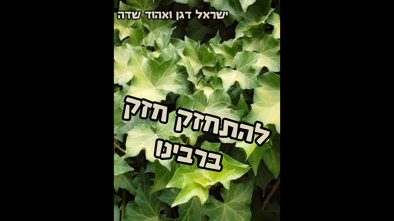 ר׳ ישראל דגן - להתחזק חזק ברבינו