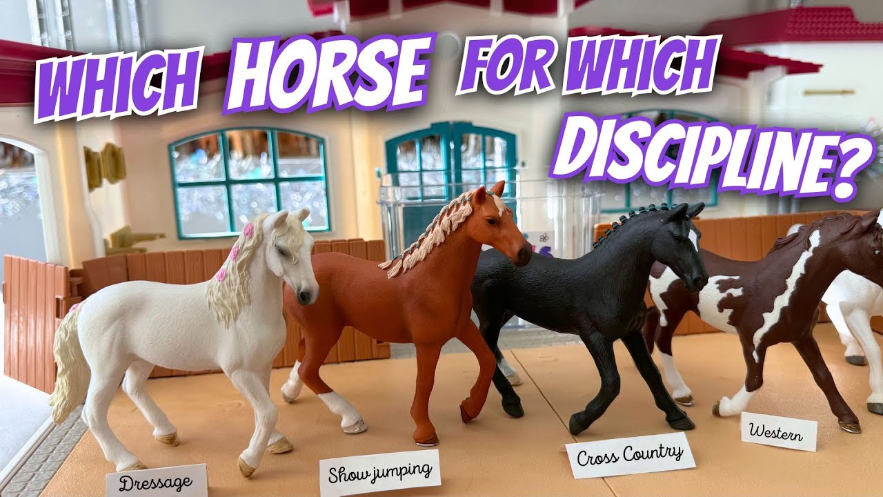 Which horse for which discipline?! 🤩💕🤭