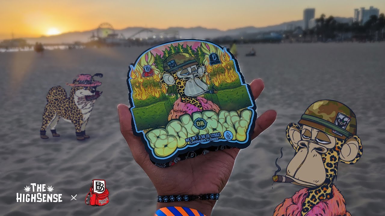 BackPackBoys Bombay at Venice Beach