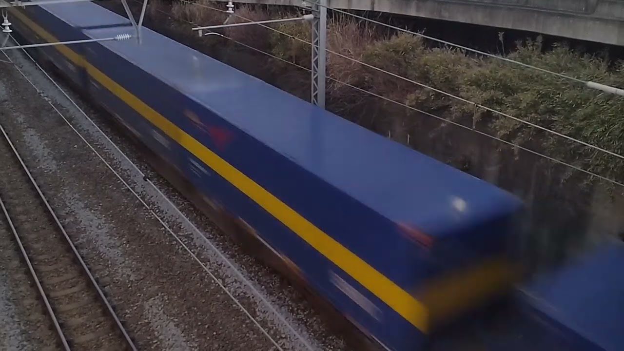2059レ EF210-369+コキ20B