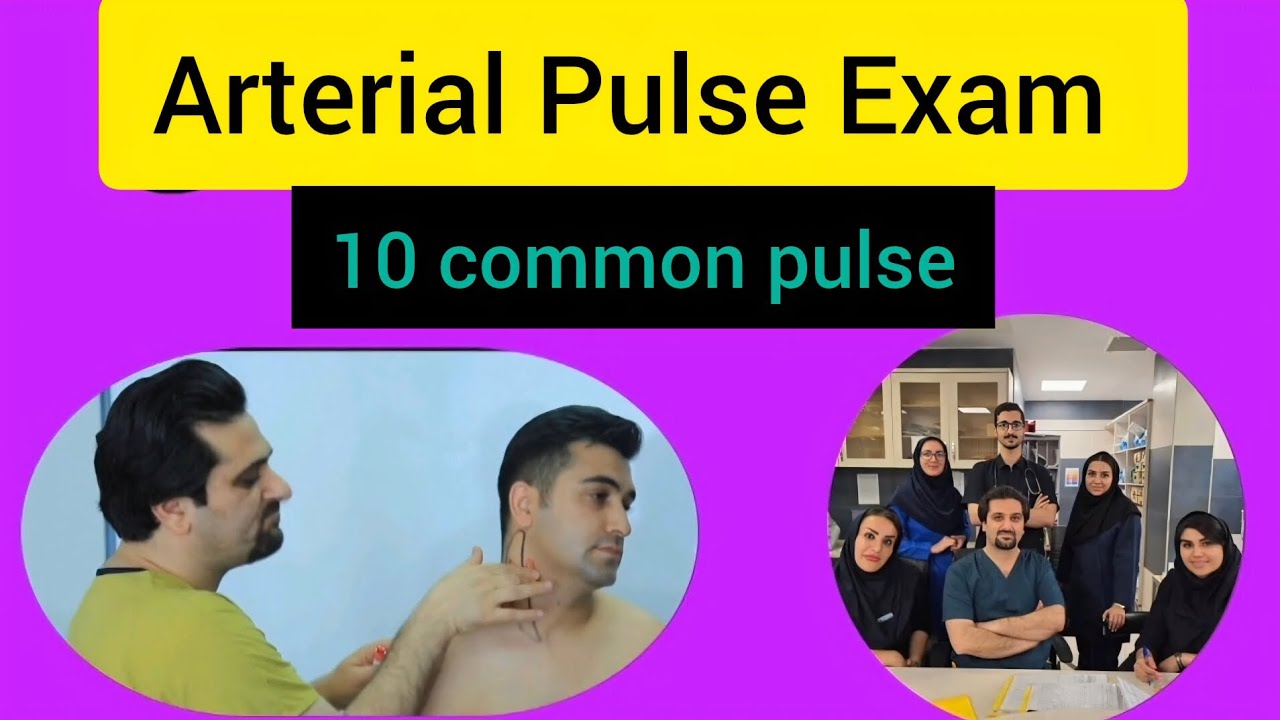 10 Arterial Pulse Sites Every Medical Student Must Know – From Carotid to Dorsalis Pedis!