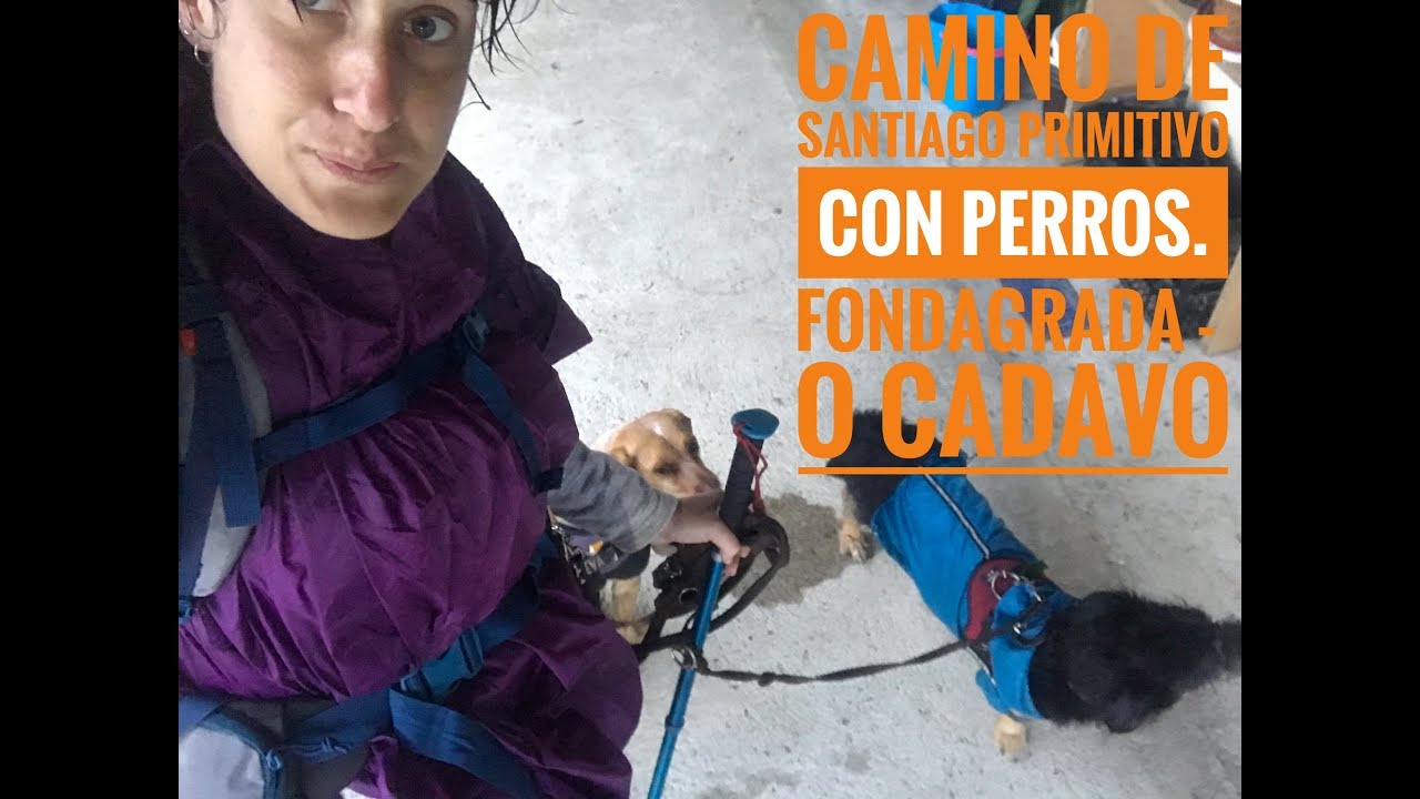 CAMINO DE SANTIAGO PRIMITIVO CON PERROS | ETAPA 8: FONSAGRADA- O CADAVO | EL PEOR DÍA DE TODOS.