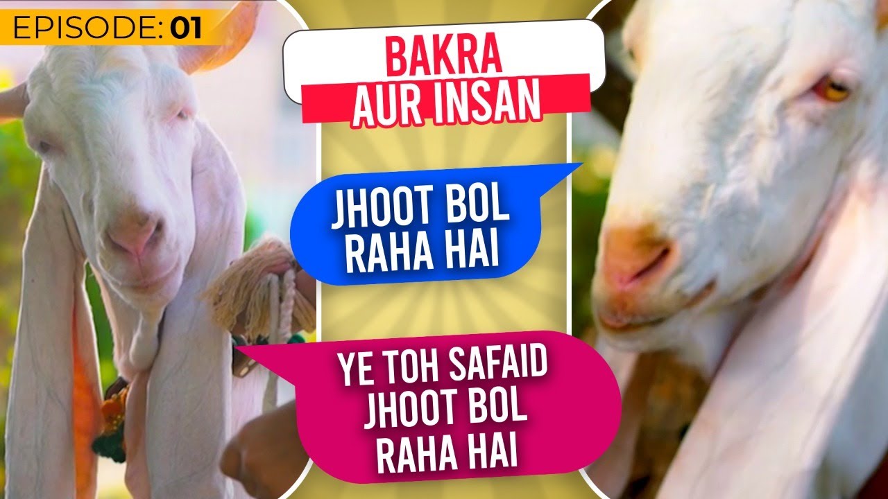 Bakray Ki Baatein 🤣 | Bakra Aur Insaan EP 01 | Bakra Eid Special Video 2021