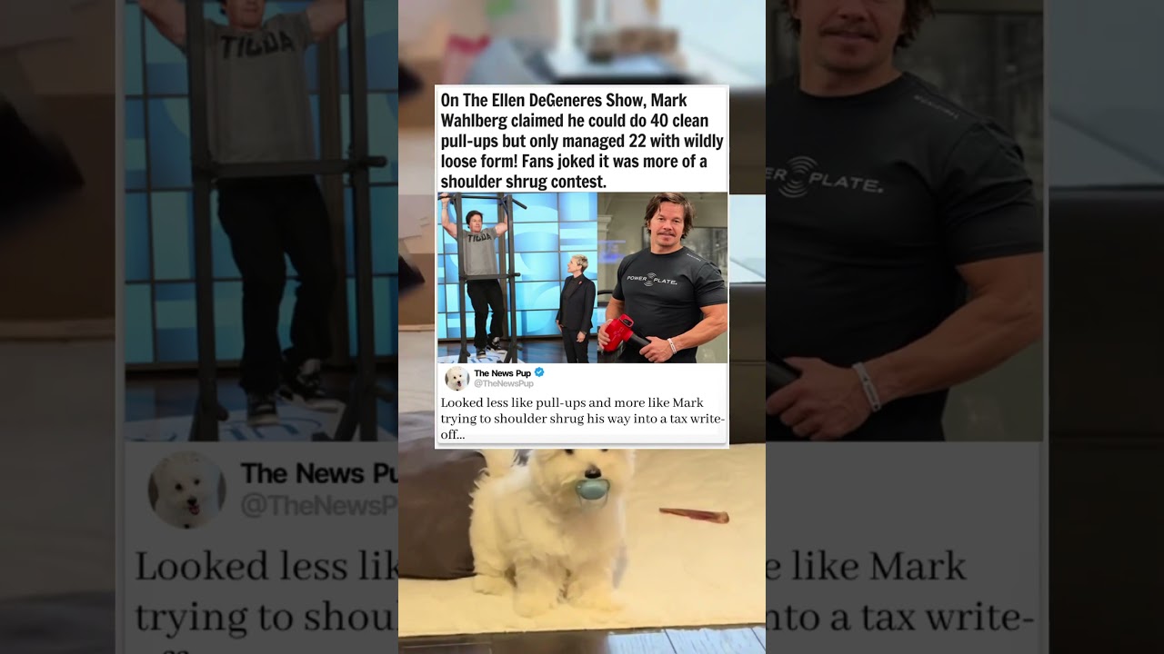 Mark Wahlberg's Epic Pull-Up Fail #news #entertainment #memes #story#dog