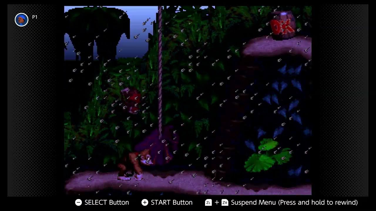Donkey Kong Country; 1-2 Ropey Rampage!; 2024/7/31 AZL9S no mic SNES-NSO video