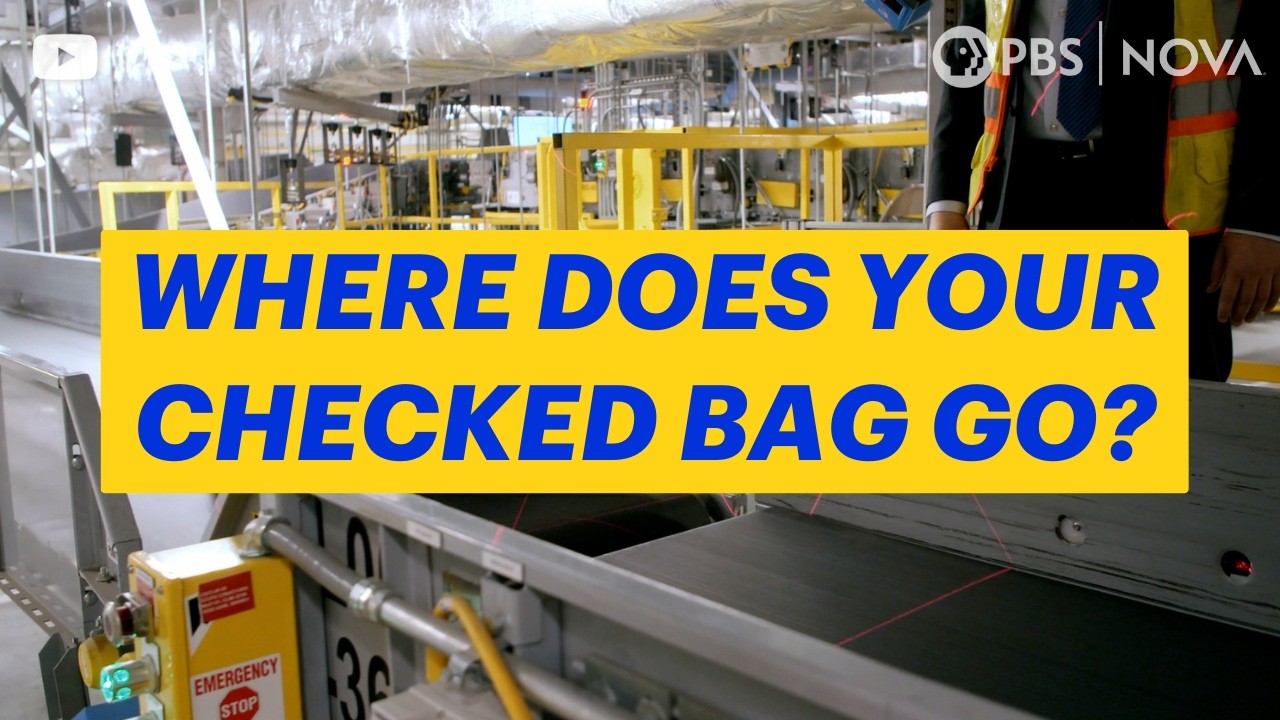 What Happens to Your Checked Bag at the Airport? | NOVA | PBS