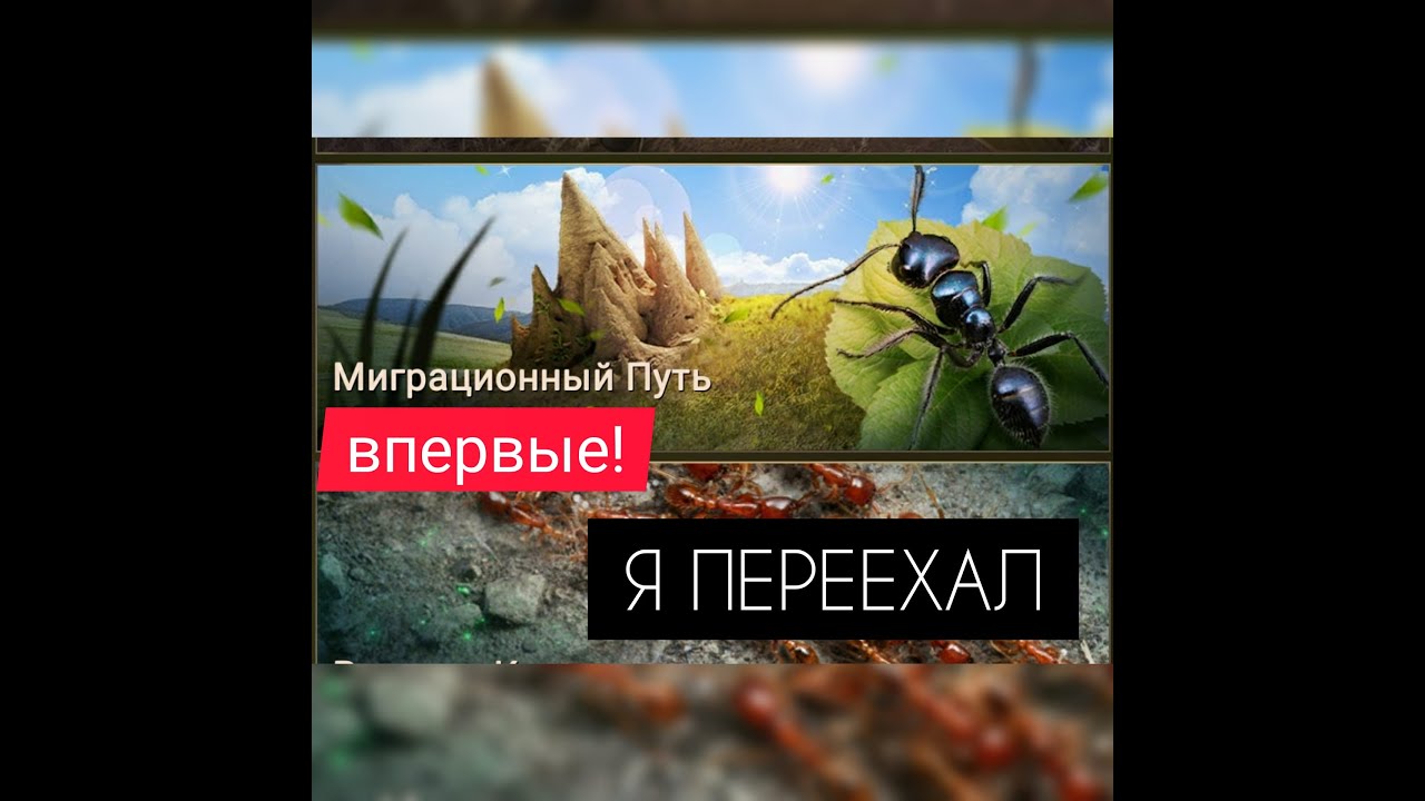 МИГРАЦИЯ! Новый дом для меня и всего альянса! The Ants: Underground Kingdom
