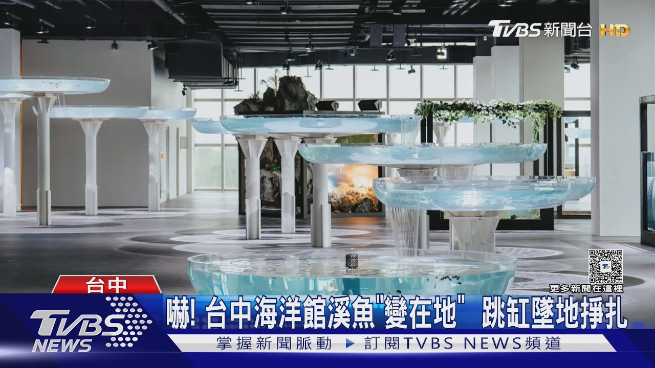 嚇! 台中海洋館溪魚「變在地」  跳缸墜地掙扎｜TVBS新聞 @TVBSNEWS02
