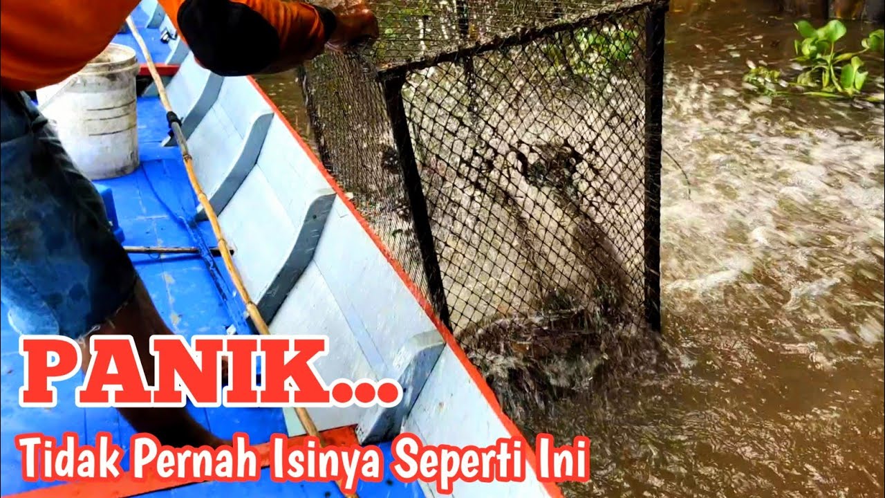 Tengok Dan Pasang Bubu Ikan Air Payau Tepi Muara Sungai.