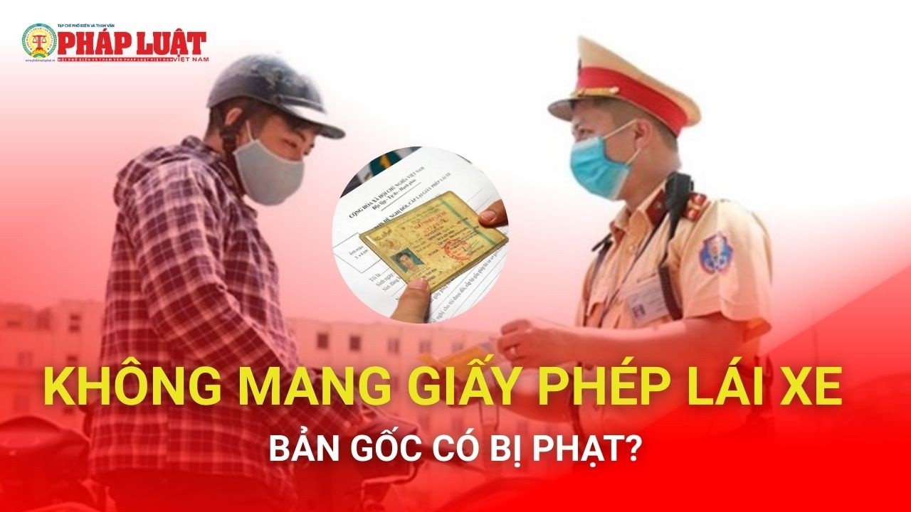 Không mang giấy phép lái xe bản gốc có bị phạt?
