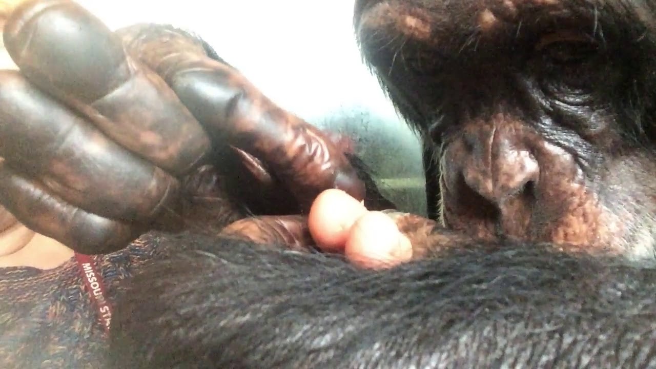 April 14, 2019: Grooming on a Snowy Day