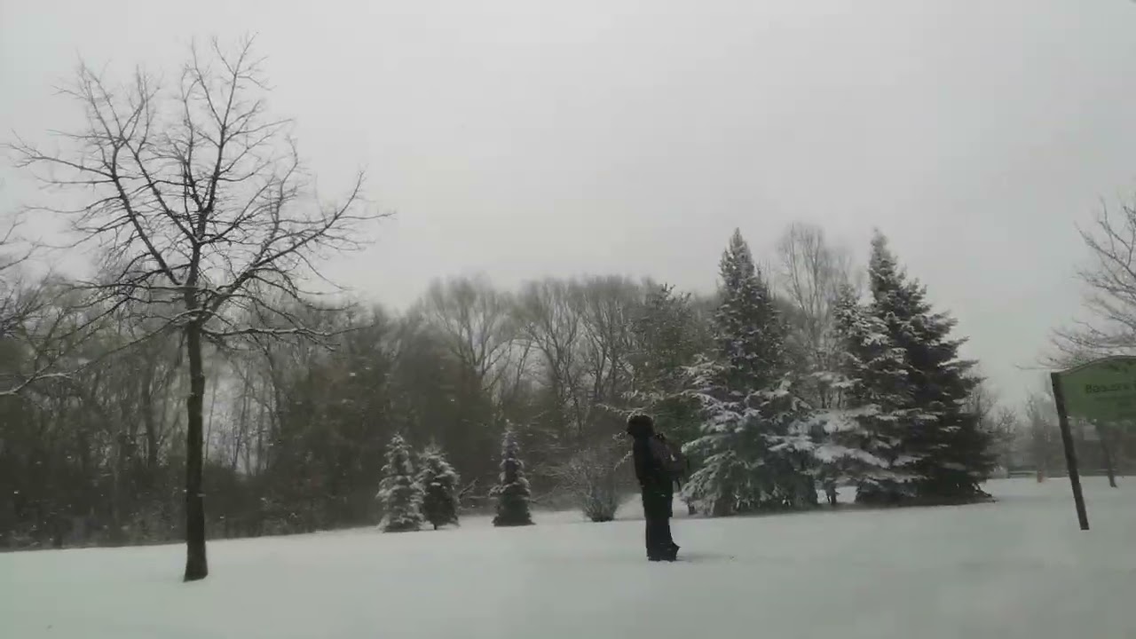 Snowy Markham march 13
