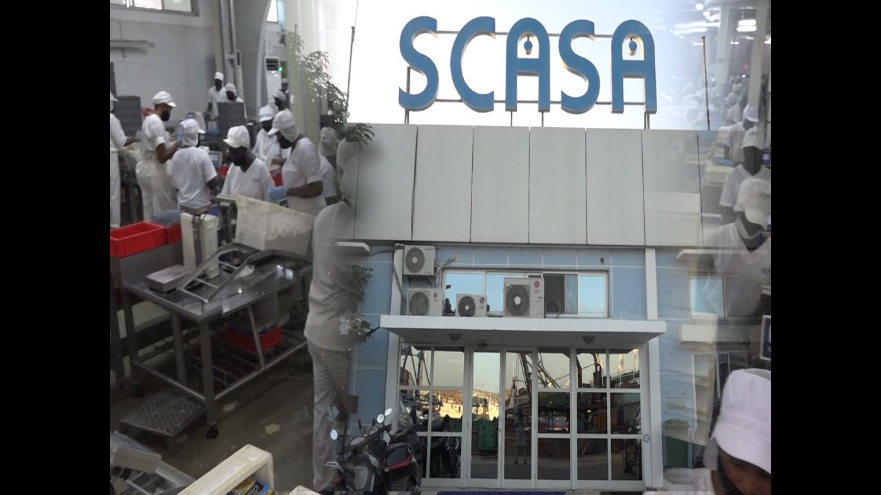 Publi reportage SCASA