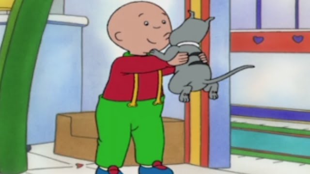 CAILLOU PORTUGUÊS - O novo membro da família (HD)