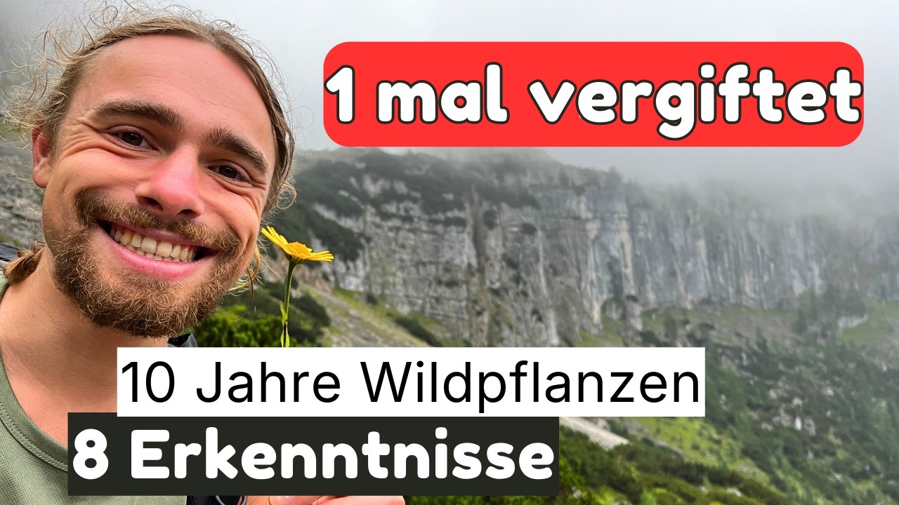 Meine 8 wichtigsten Erkenntnisse aus 10 Jahren Wildpflanzen sammeln.