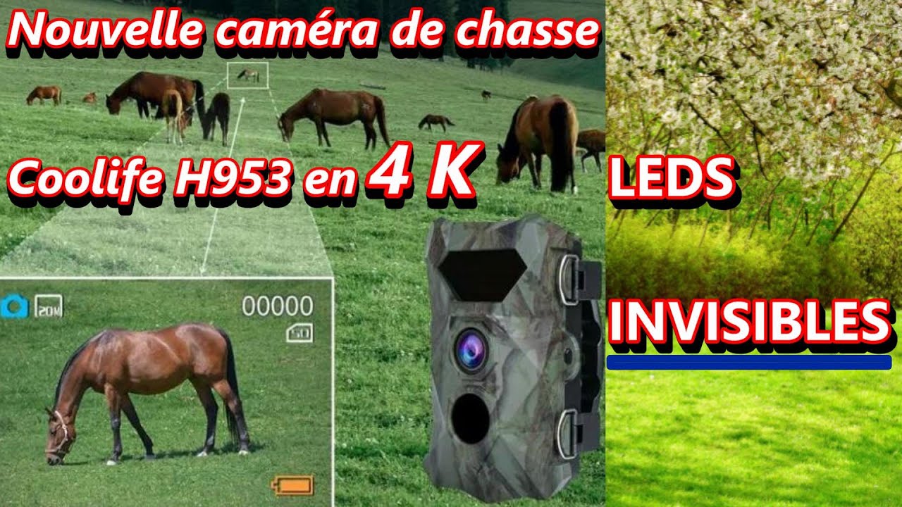 Nouvelle Caméra de chasse H953 4K avec LEDS INVISIBLES LA NUIT de COOLIFE: Lien en description↓↓↓😀