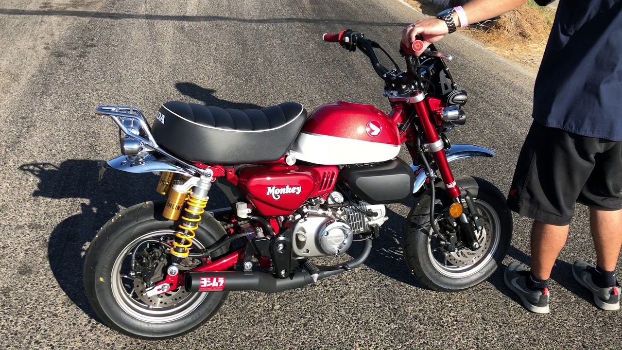 2019 Honda Monkey Exhaust - Yoshimura Straight Cyclone Track Tested