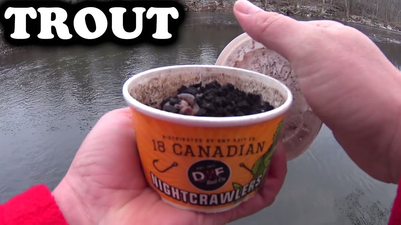 Trout Fishing from the Bank with Worms (Nightcrawlers) and PowerBait