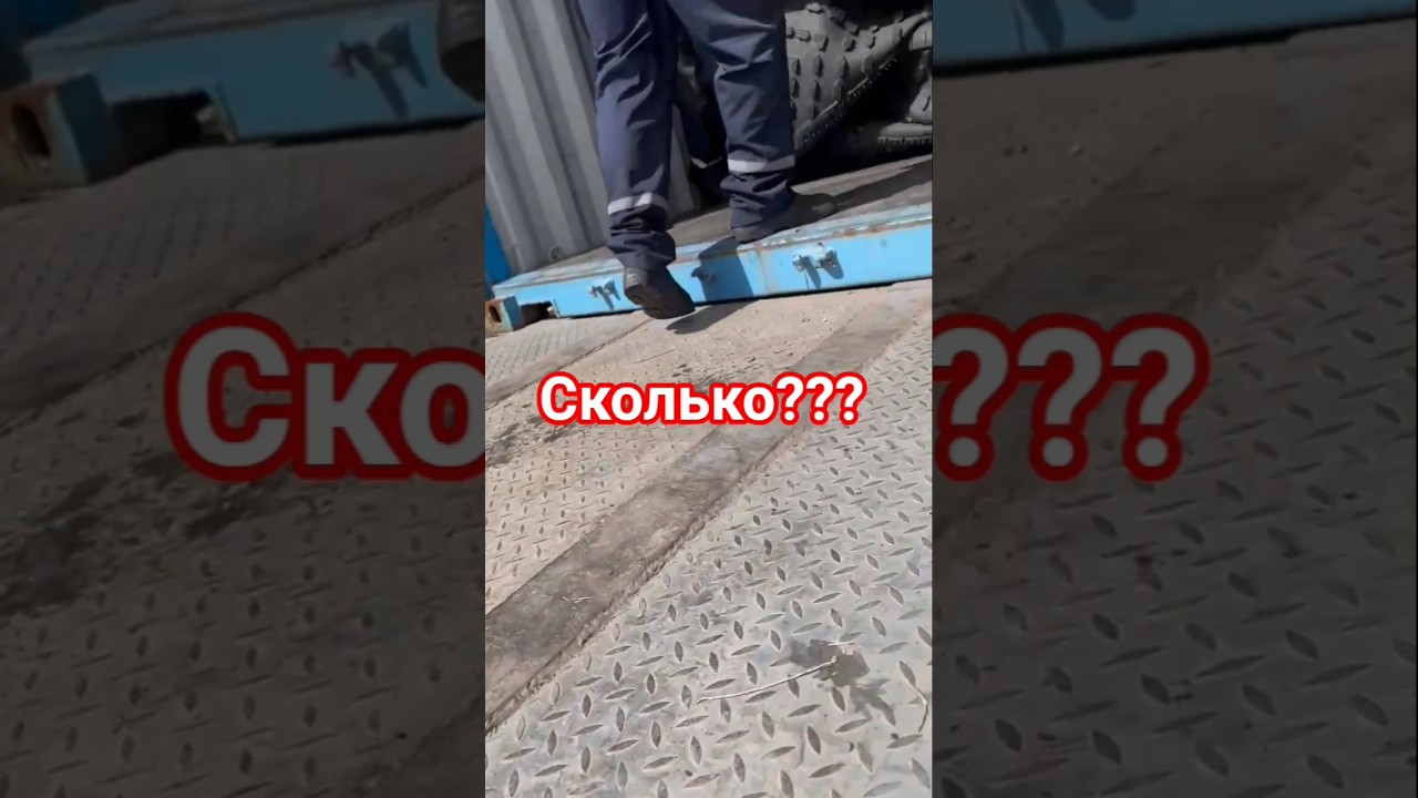 Сколько помещается в 20 футовый контейнер #шинынизкогодавления #marshland #easy 700/75-25 #shorts