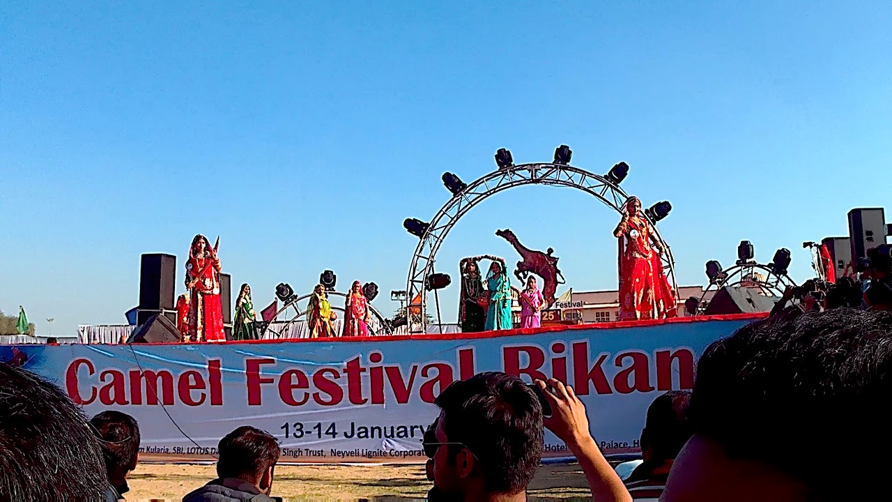 Miss marwan dance international camel festival -2018