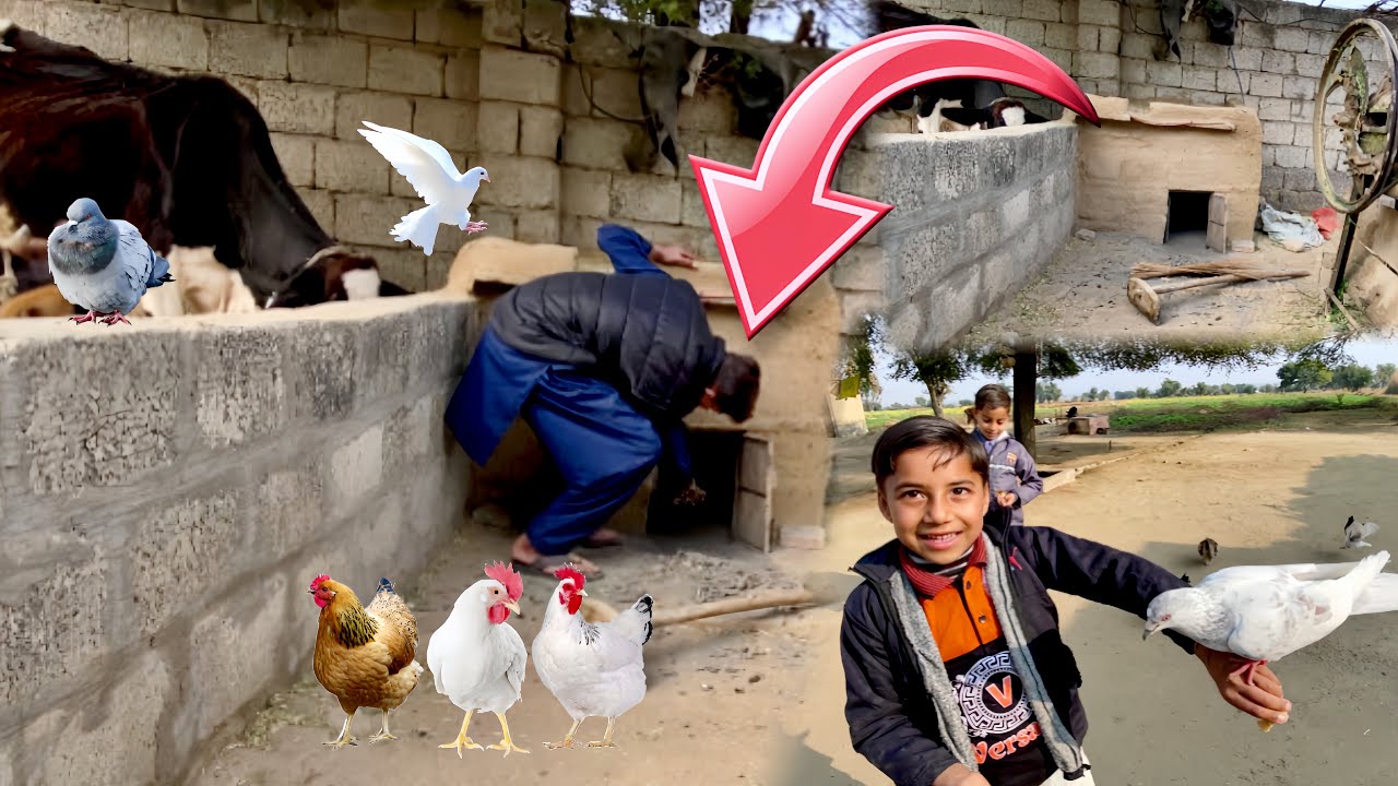 Aaj Ghar Ki Safai Ki 🐓😍 Village Life Punjabi Vlog |