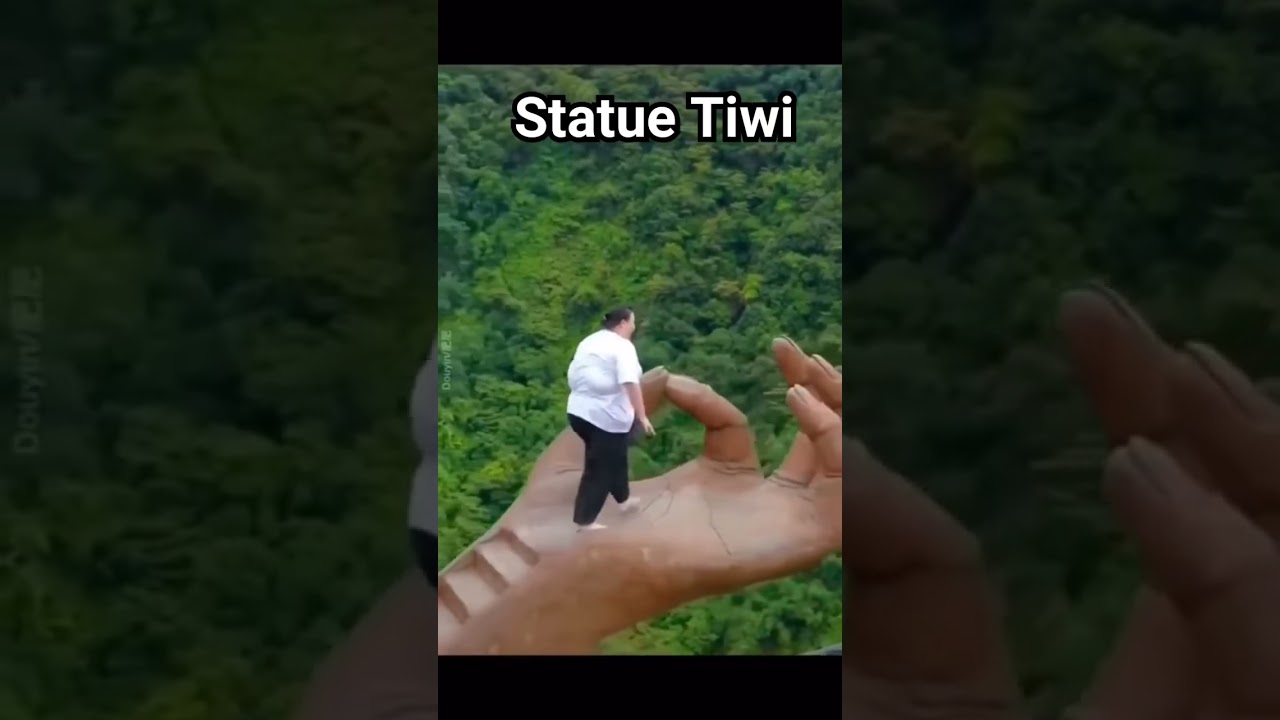 Statue Tiwi 😂#funny #tiwi